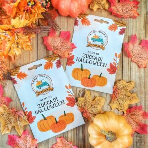 Semi di Zucca di Halloween 5 g