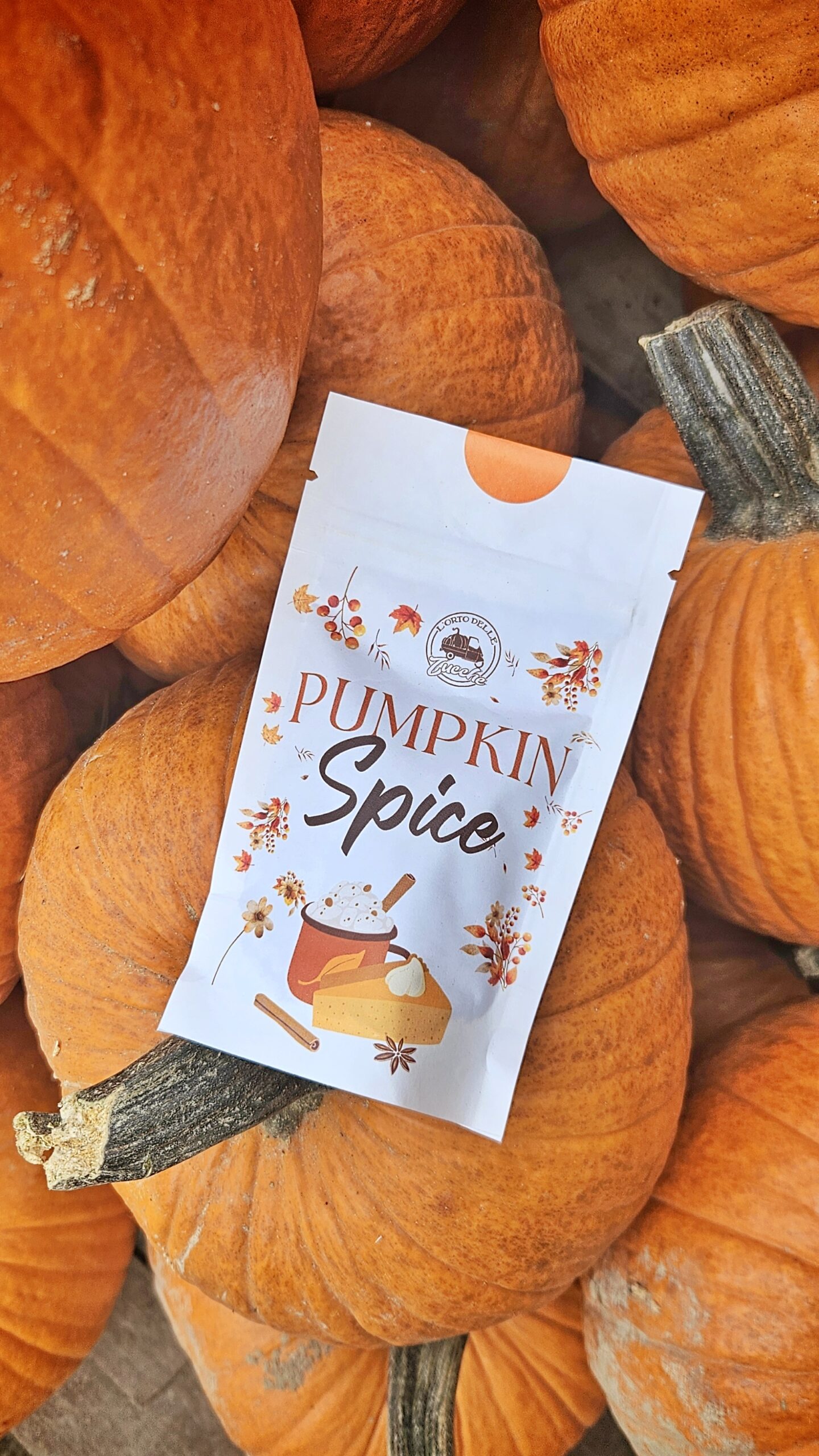 Pumpkin Spice 30 g